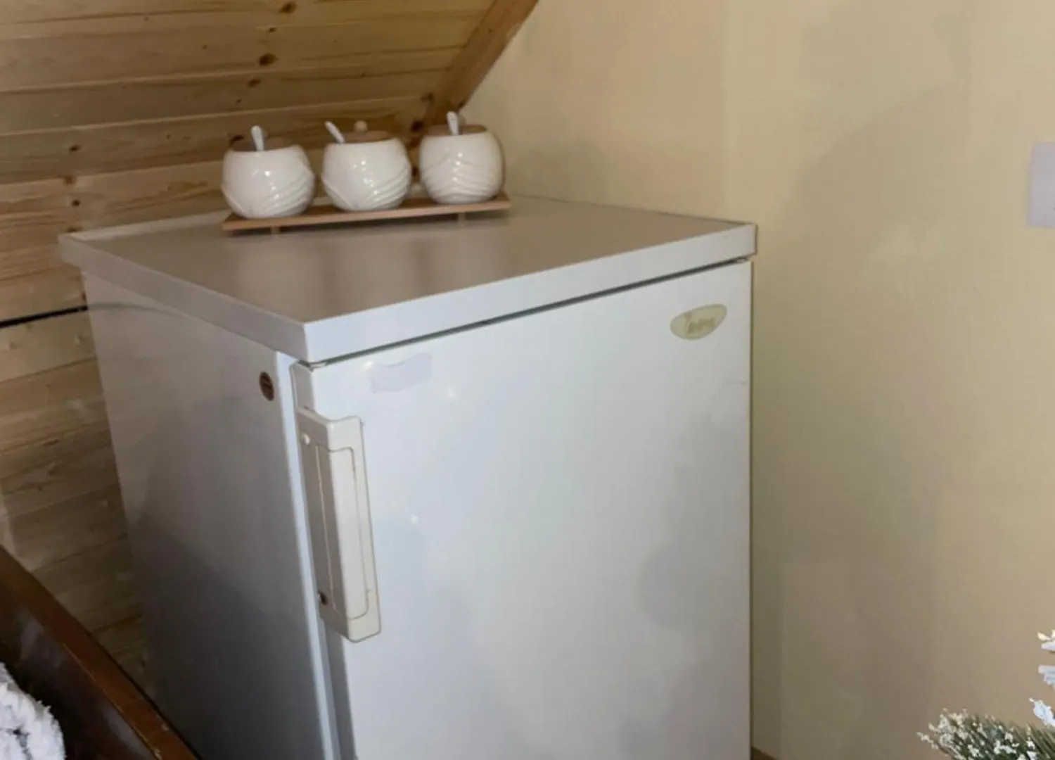 Riza Guest House Puke 0*,  Albania